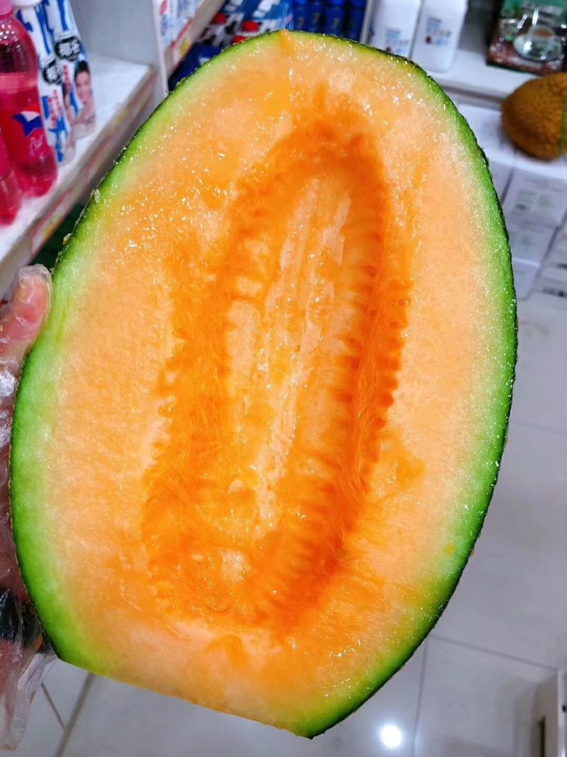 新疆哈密瓜