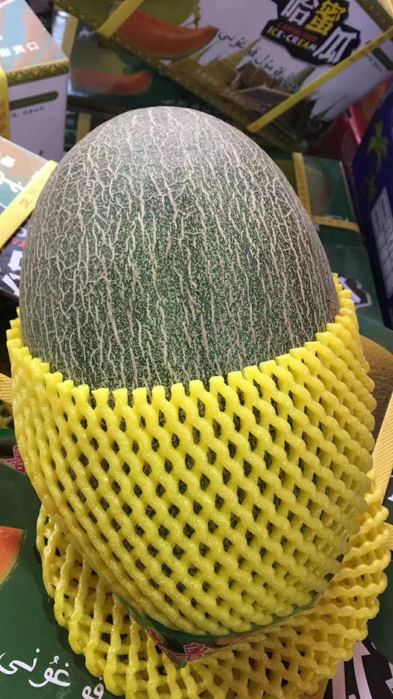 新疆哈密瓜