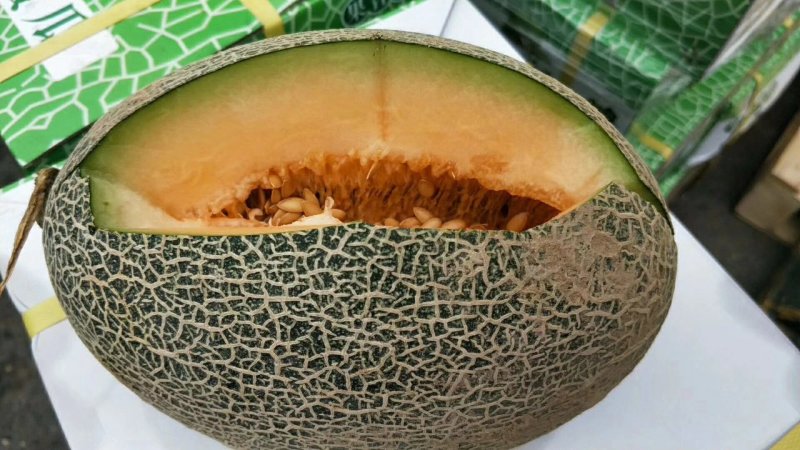 新疆哈密瓜