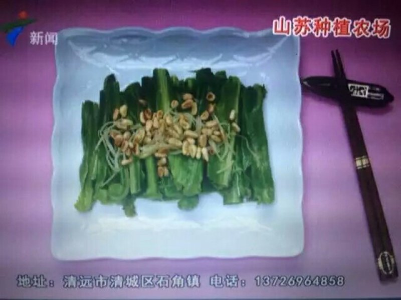 蕨菜
