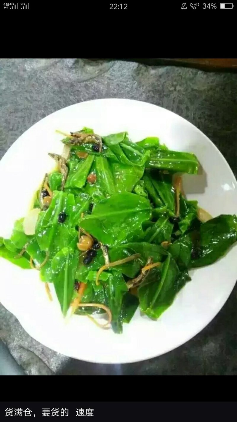 蕨菜