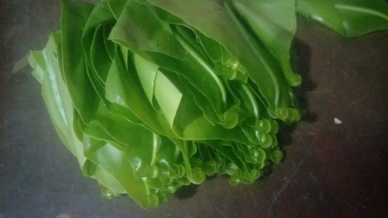 蕨菜