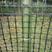 包邮养殖网圈地围栏网拦鸡鸭鹅网漏粪网隔离防护网圈玉米网