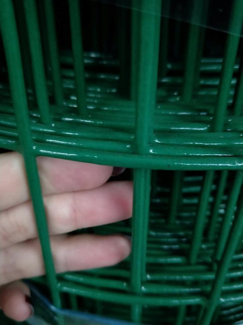 养殖网养鸡网