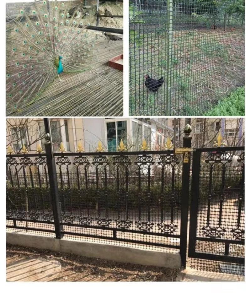 养殖围栏网漏粪网防护网塑料网圈地围栏