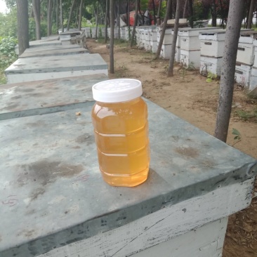 百花蜜，42°批发20元/斤，10斤起包邮！