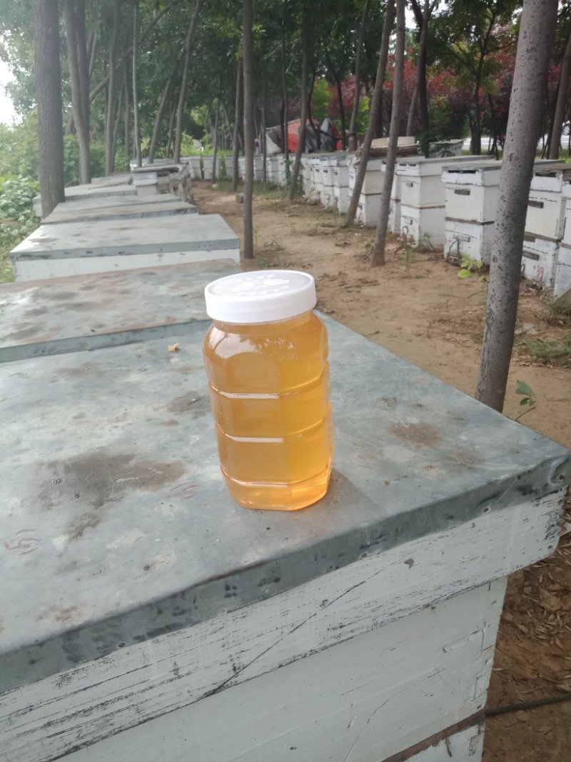 百花蜜，42°批发20元/斤，10斤起包邮！
