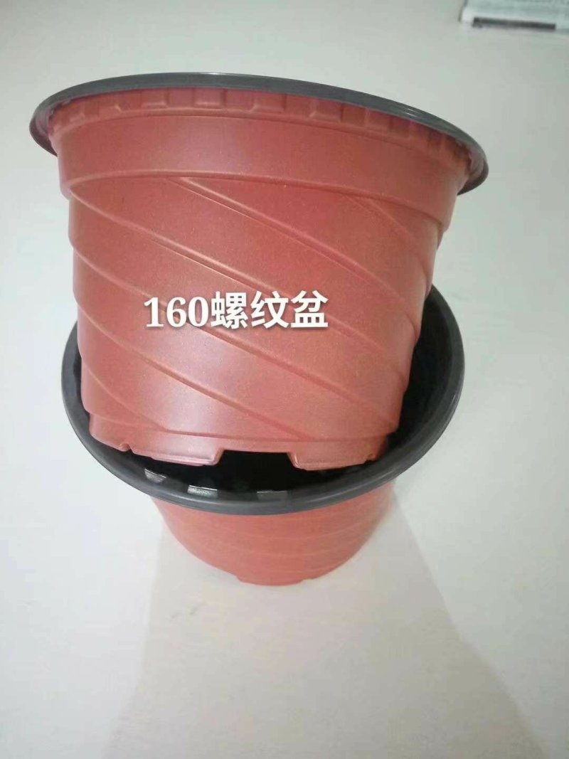 螺纹盆，绿萝花盆，现货