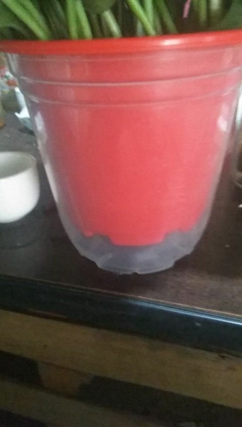 螺纹盆，绿萝花盆，现货