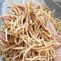 太子参/全年有货/量大从优/自然晾晒/欢迎进店选购