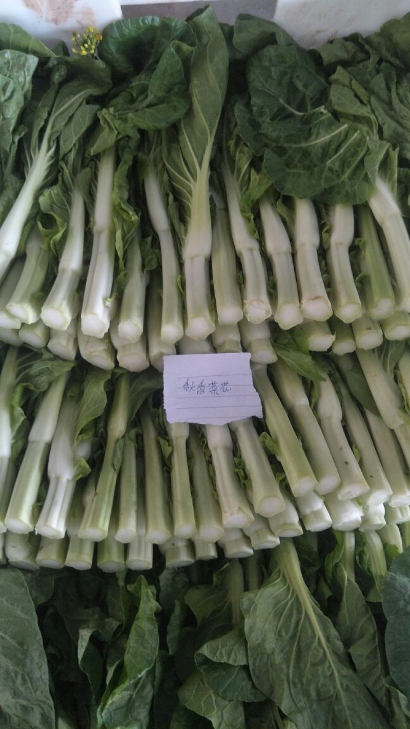 有需求的，可以咨询