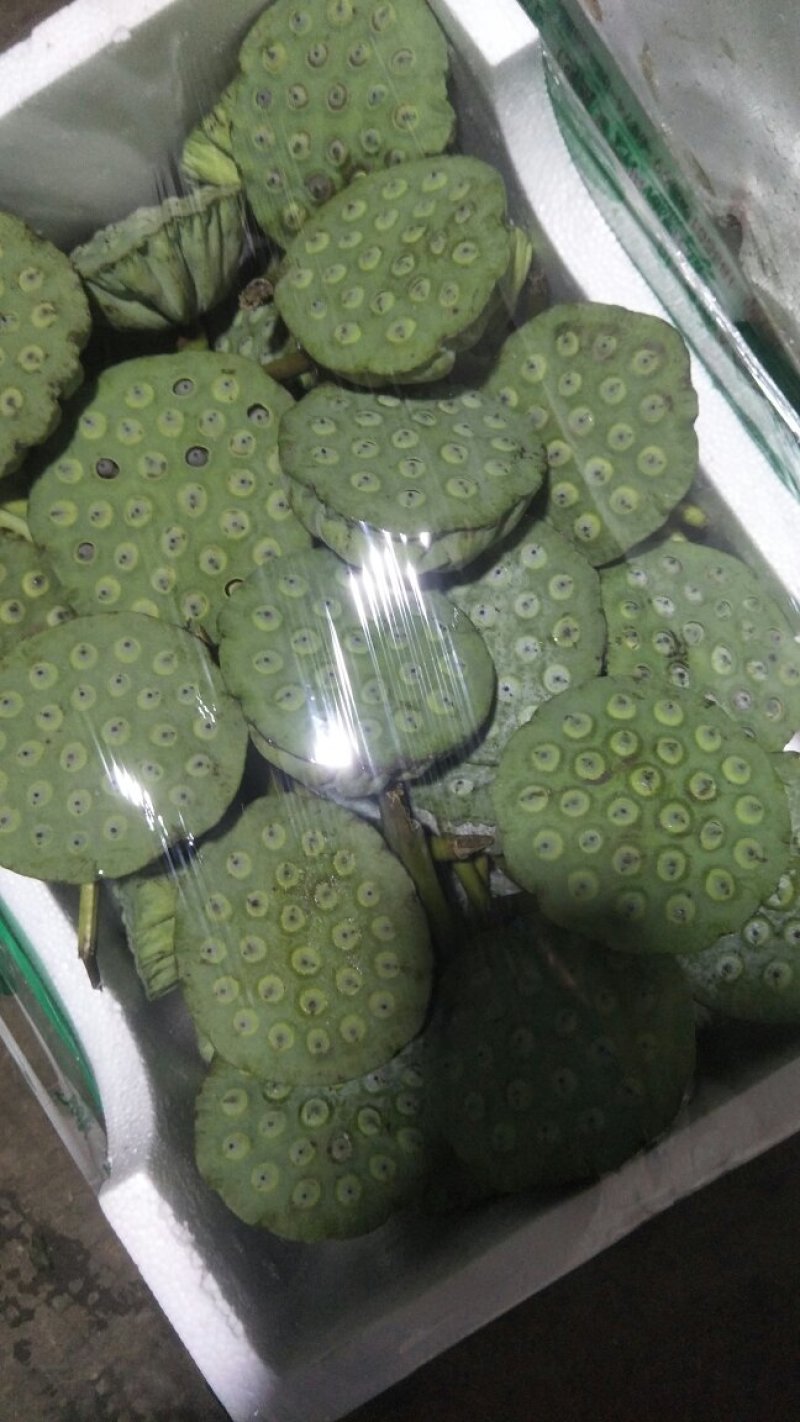有需求的，可以咨询