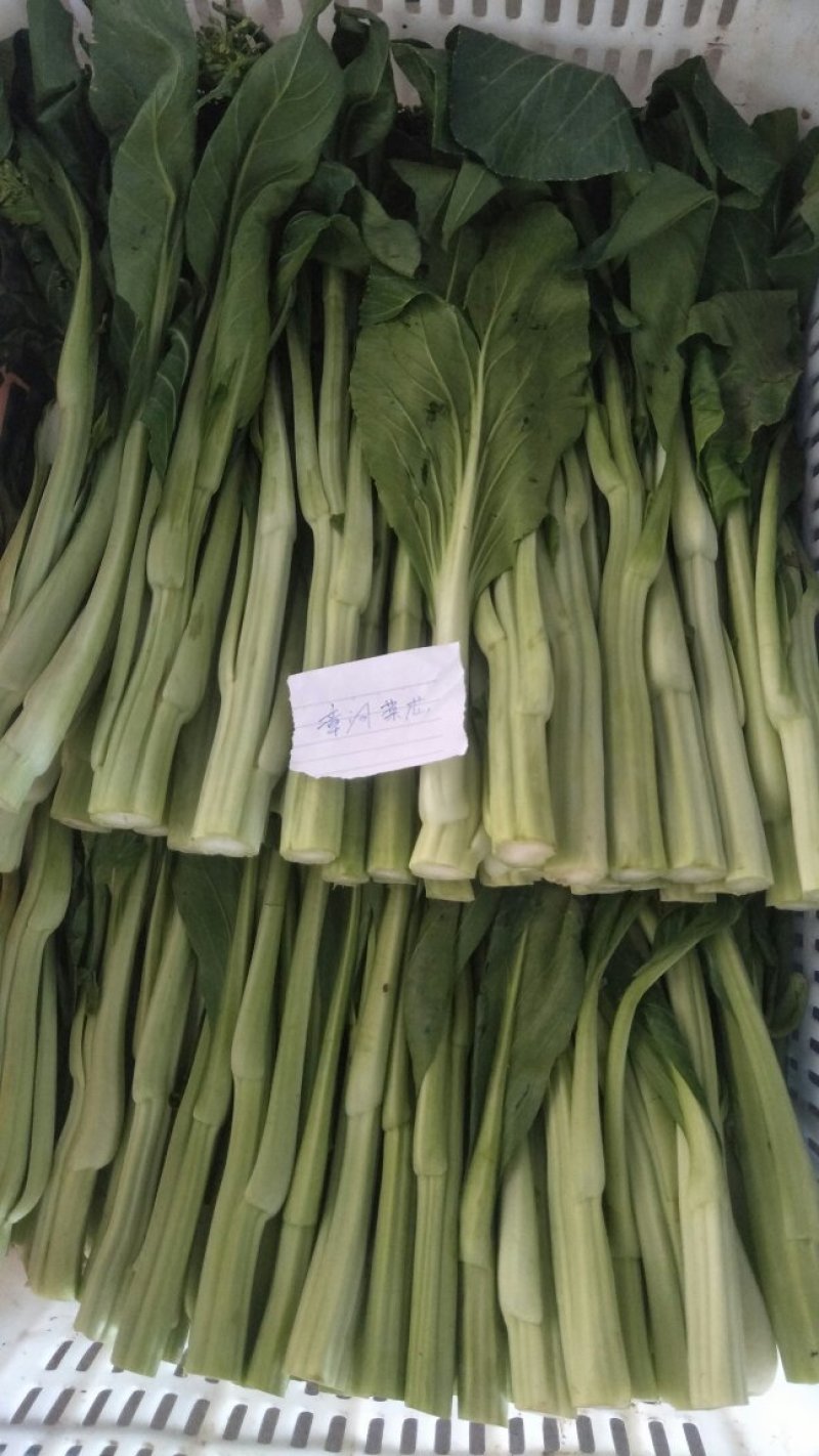 有需求的，可以咨询