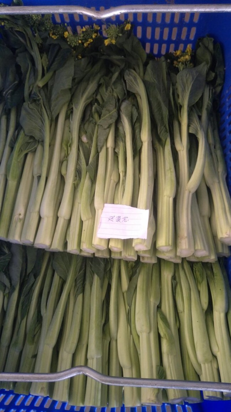 有需求的，可以咨询