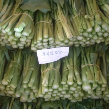 漳州菜心