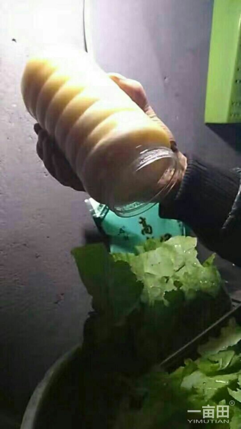 大山土蜂蜜