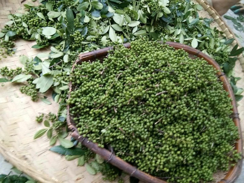 青花椒，特级，鲜