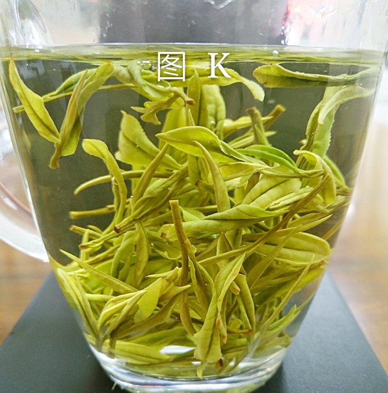 安吉白茶