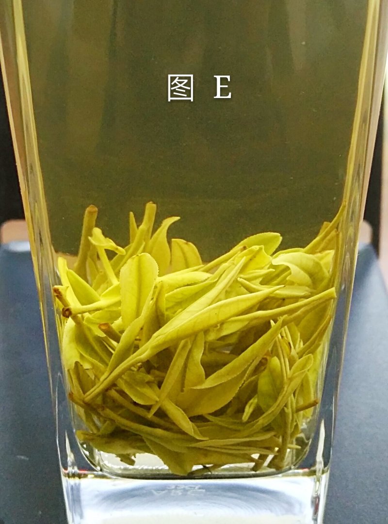 安吉白茶