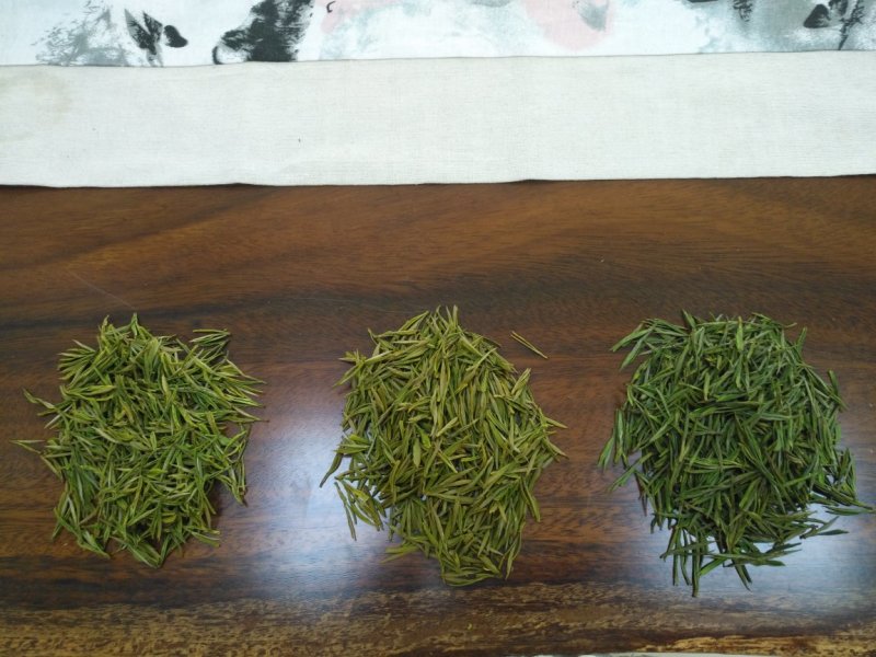 安吉白茶