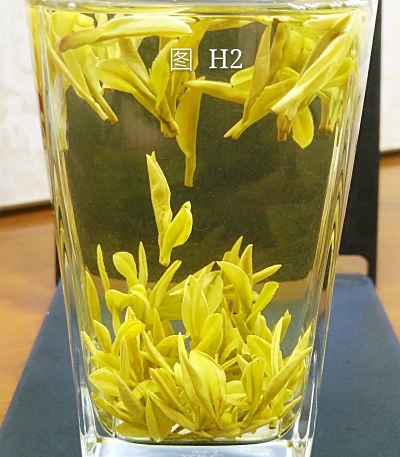 安吉白茶