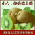 徐香猕猴桃