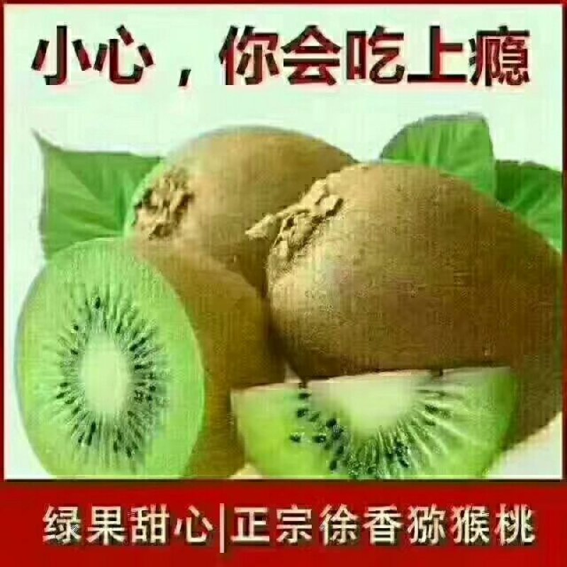 徐香猕猴桃