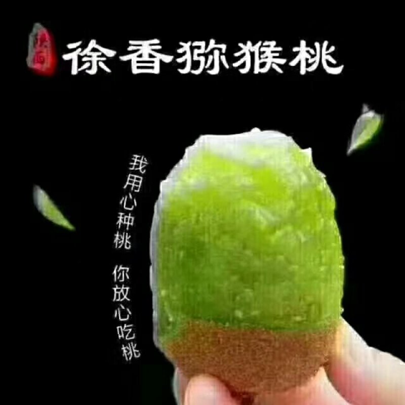徐香猕猴桃