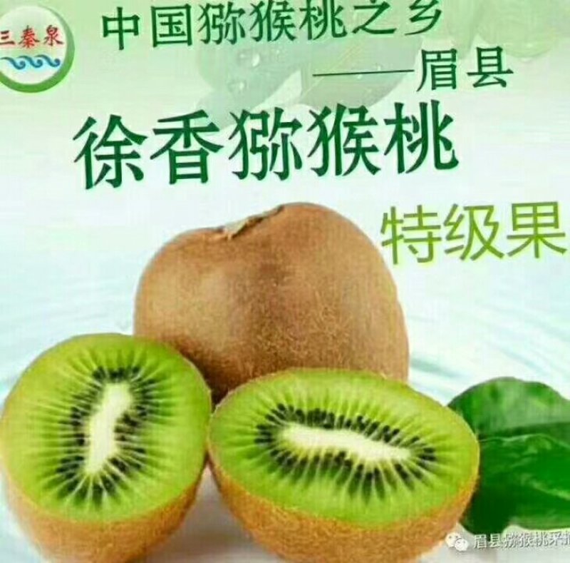 徐香猕猴桃