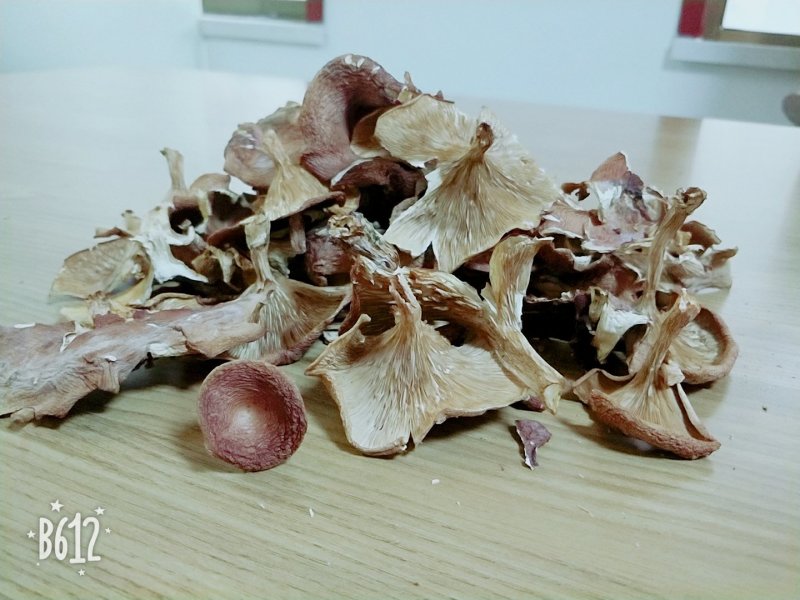 藏区特产2018新品喇叭菌野生蘑菇野生菌煲汤养生