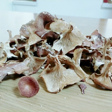 藏区特产2018新品喇叭菌野生蘑菇野生菌煲汤养生