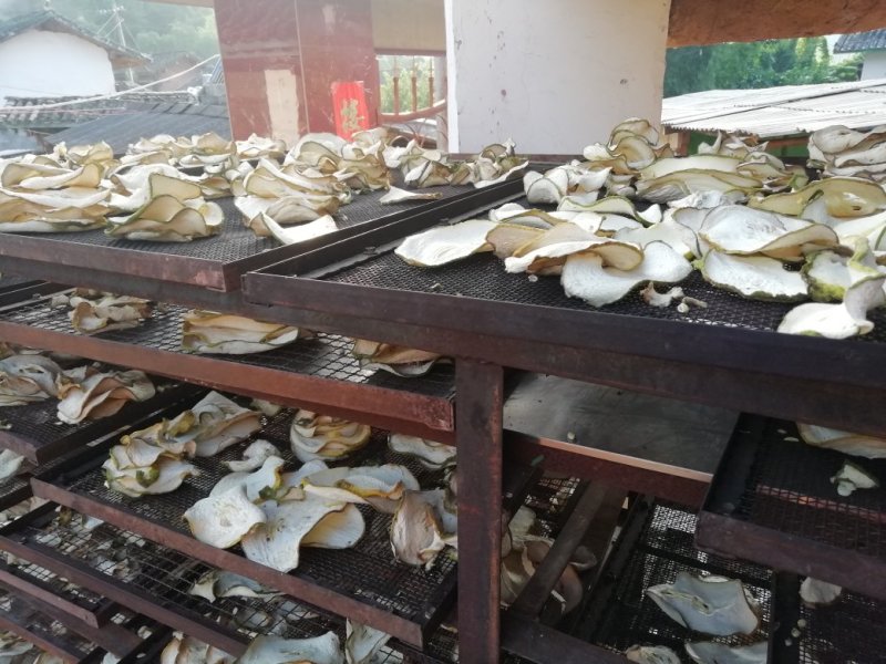 香橼干片热卖中