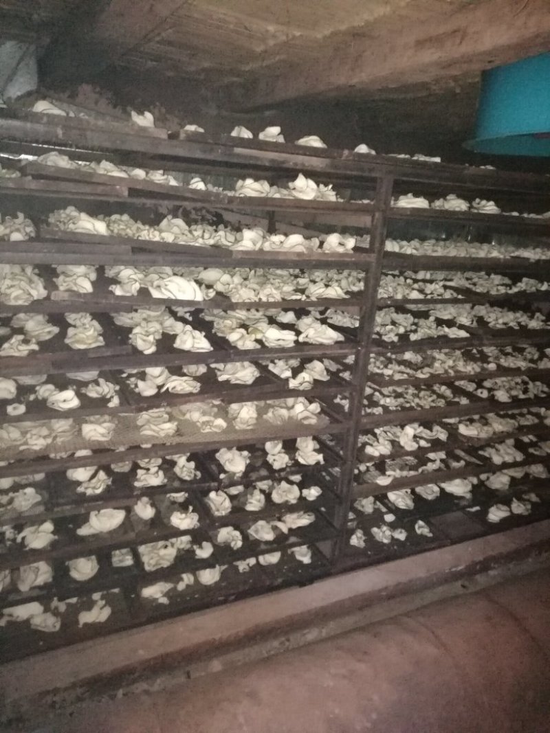 香橼干片热卖中