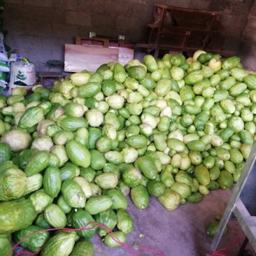 香橼干片热卖中