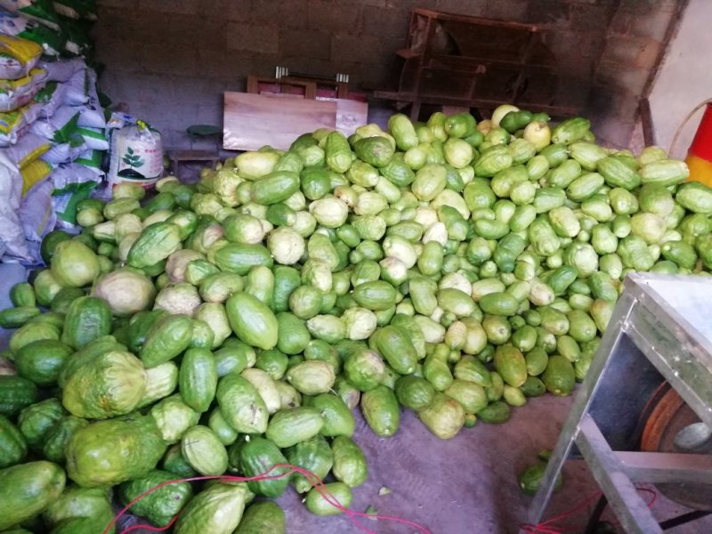 香橼干片热卖中
