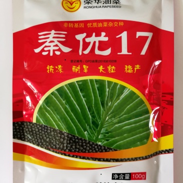 秦优17油菜种子抗冻抗旱大粒稳产非转基因杂交种