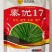 秦优17油菜种子抗冻抗旱大粒稳产非转基因杂交种