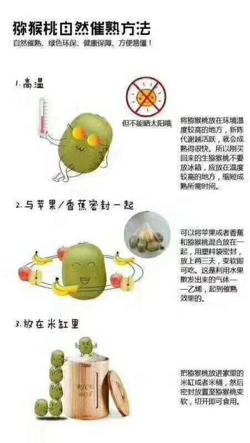 秦美猕猴桃