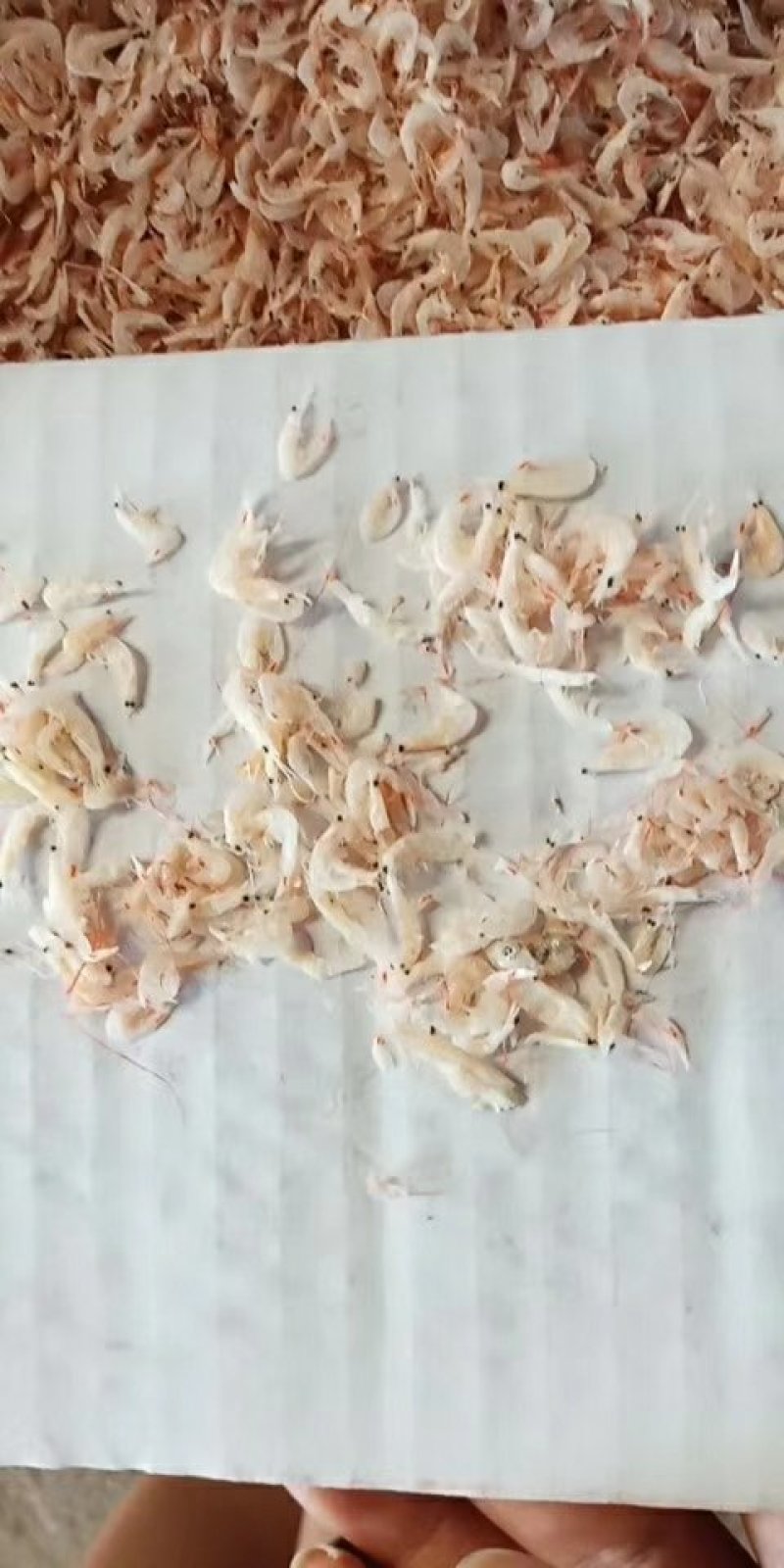 特级虾皮