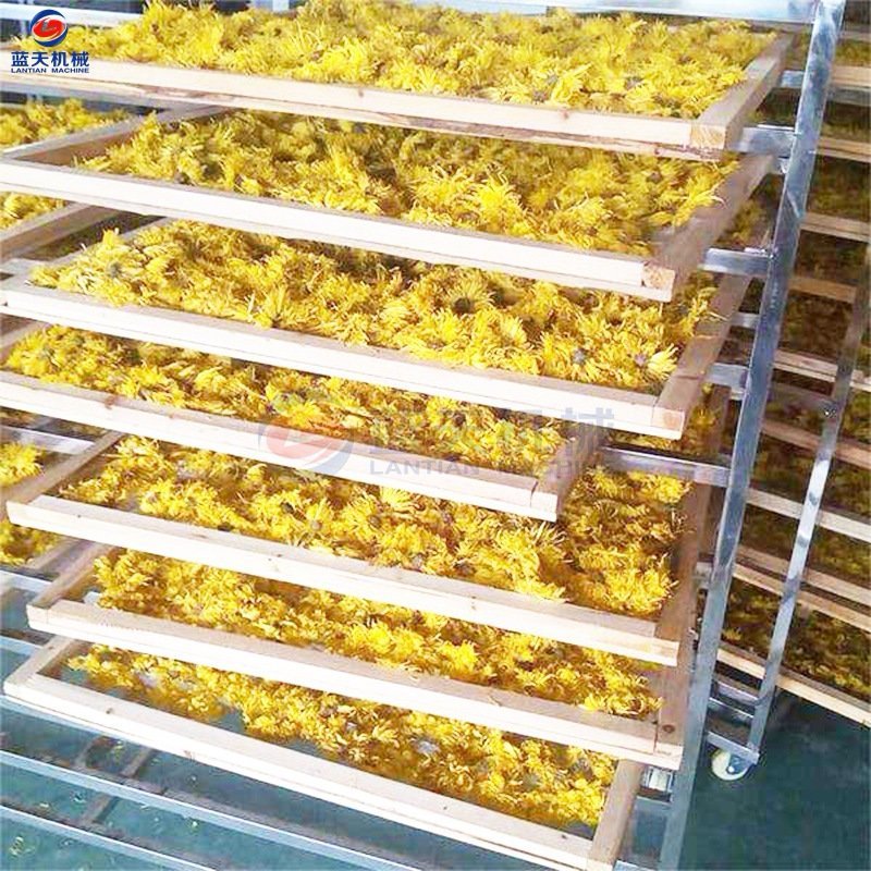 菊花烘干机金丝皇菊烘干机蓝天牌药菊秋菊雪菊烘干机