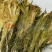菊花烘干机金丝皇菊烘干机蓝天牌药菊秋菊雪菊烘干机