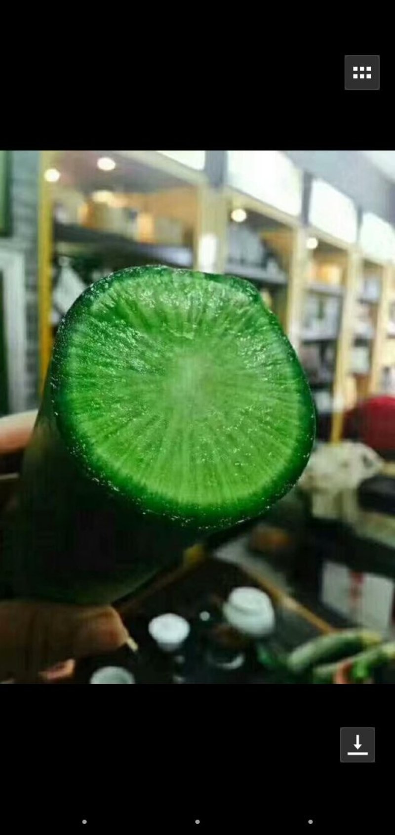 潍县青萝卜种子