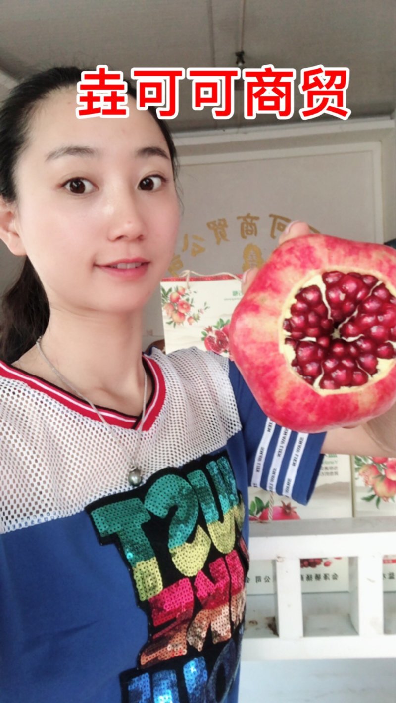 正宗会泽突尼斯软籽石榴