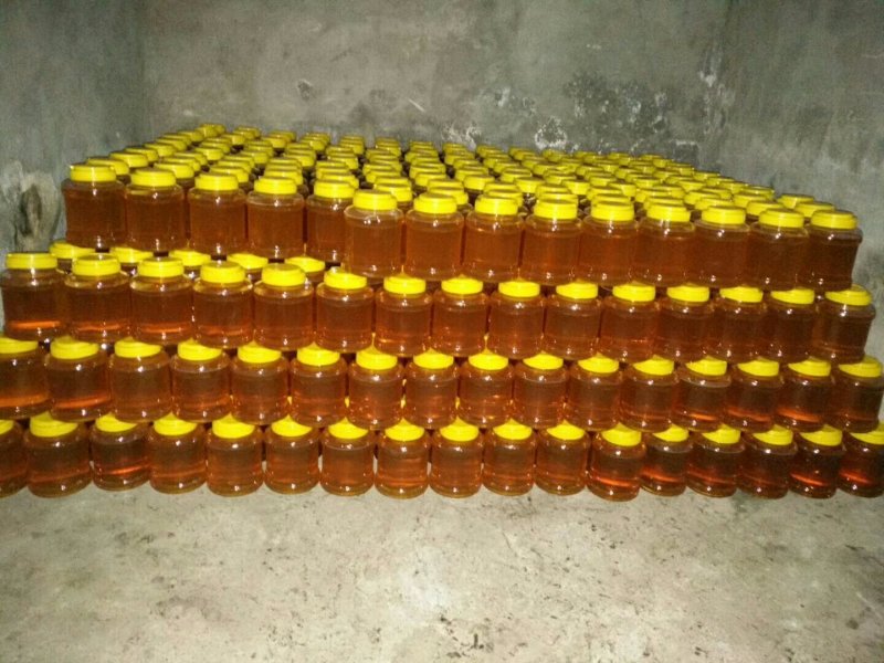 新疆伊犁尼勒克山花蜜