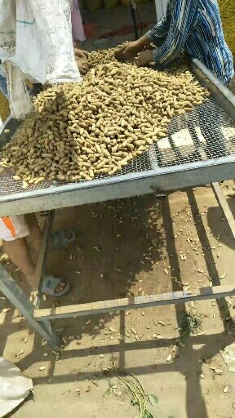 鲜花生，