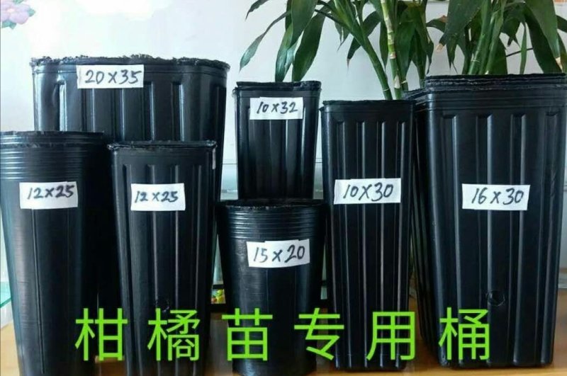 黑色营养杯抗老营养钵塑料育苗杯柑橘苗杯育苗盆育苗袋无纺布