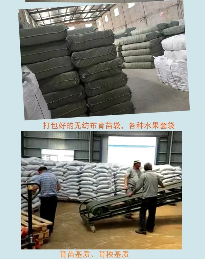 黑色营养杯抗老营养钵塑料育苗杯柑橘苗杯育苗盆育苗袋无纺布