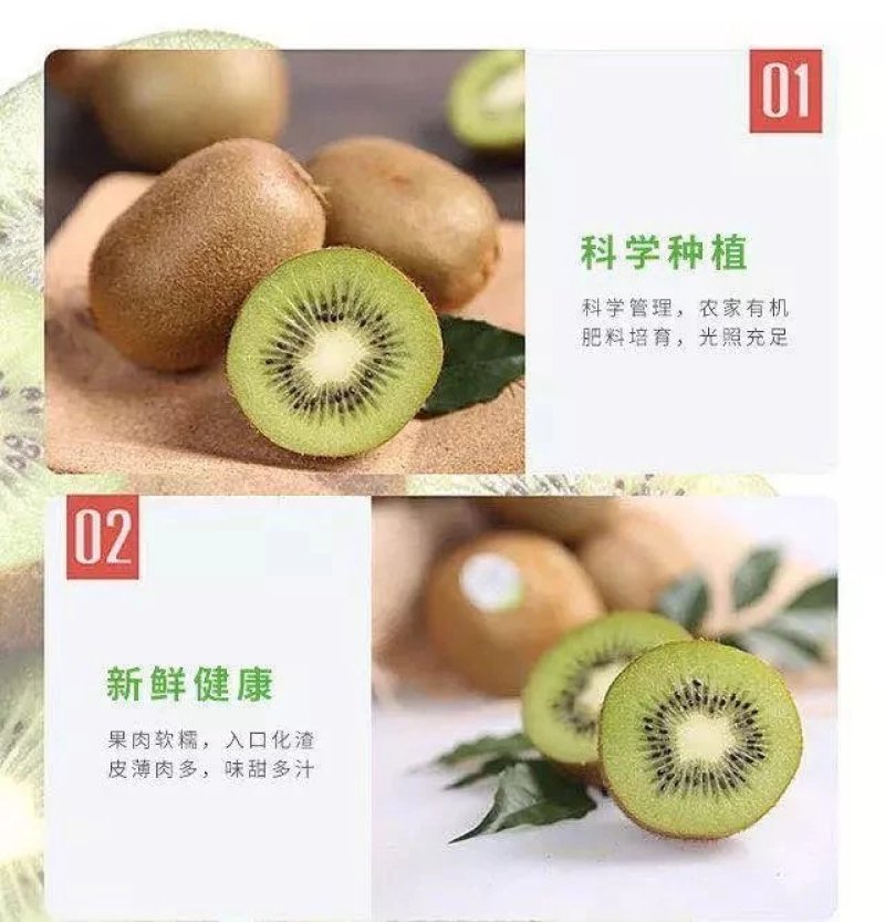 好消息，自家果园新鲜绿心猕猴桃省内一律68元一