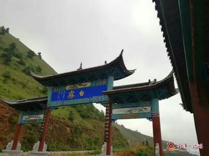 盐水石榴