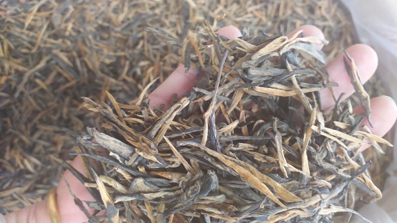 红茶云南滇红茶理条